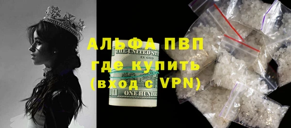 гидра Галич