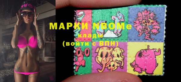 молекула духа Заводоуковск