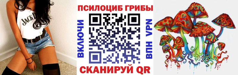 где продают наркотики  Зеленодольск  mega маркетплейс  Псилоцибиновые грибы Psilocybe 